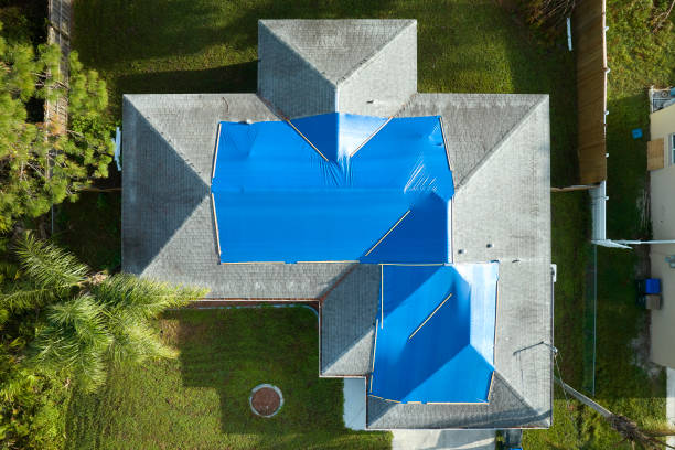 Best Asphalt Shingles Roofing  in Buchanan, VA