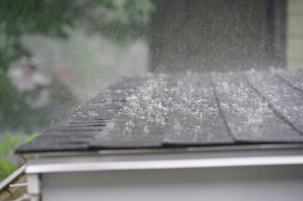 Best Metal Roofing Installation  in Buchanan, VA