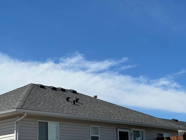 Best Skylight Installation and Repair  in Buchanan, VA